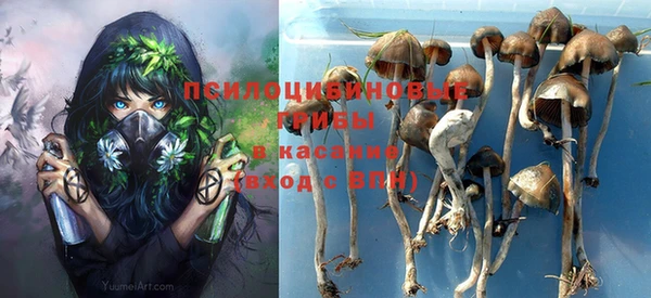 эйфоретик Белоозёрский
