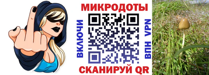 Галлюциногенные грибы прущие грибы  Вязники 